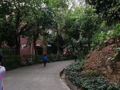 -南岗山公园