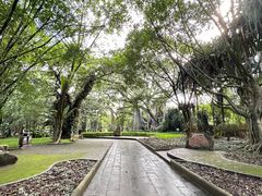 -瑞丽独树成林风景区