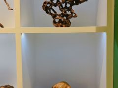 -吉林市博物馆