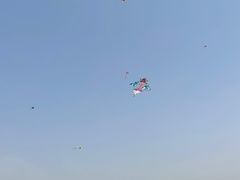 -君乐宝优致牧场