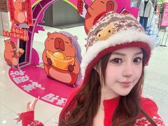 -盛京大奥莱(沈阳奥体店)