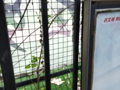 -天津市和平区哈密道小学