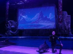 -华夏文旅海洋公园