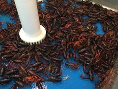 -爱斯即膜永辉超市(西美·五洲天地店)