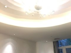-深圳东部华侨城瀑布酒店