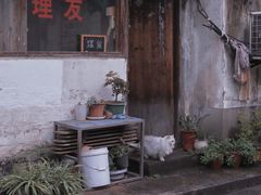 -绍兴书圣故里景区