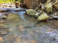 -北仑森林植物园