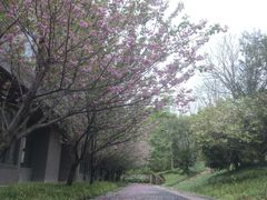 -浙江农林大学(东湖校区)