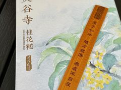 -灵谷景区