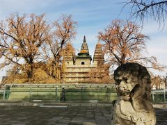 -北京石刻艺术博物馆(五塔寺)