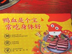 -谭鸭血老火锅(远大购物广场店)