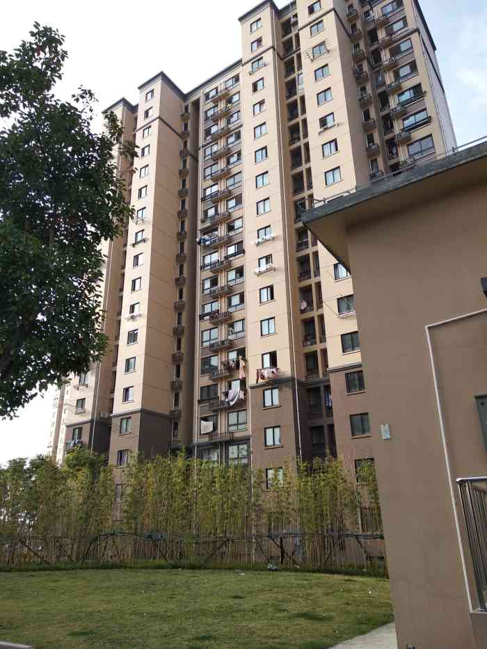 瑞和雅苑壹街区-"小区里的奔驰🚗……被撞成这样也够惨的[.