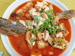 -煲来饱去冷水鱼