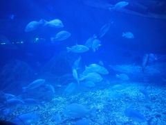 -临沂极地海洋王国