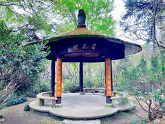 -杭州植物园