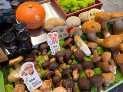 -菌自由丨野生菌火锅特色庭院餐厅(丽江古城店)