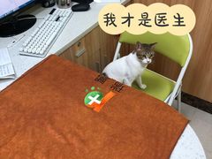 -瑞鹏宠物医院·夜间急症·心超·猫科(祖庙分店)
