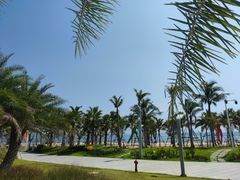 -大梅沙海滨公园