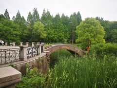 -蠡湖中央公园
