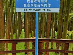 -青山湖景区
