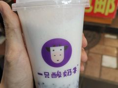 -一只酸奶牛(八一路店)