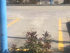 -安飞驰驾校·学车连锁(金高店)