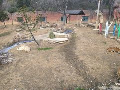 -无锡动物园·太湖欢乐园