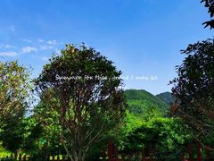 -秦岭风景区