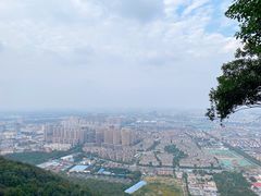 -惠山国家森林公园