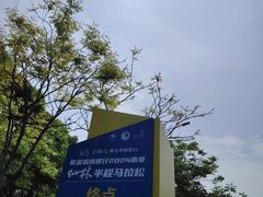 -羊山湖公园