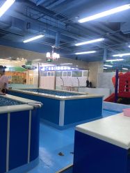 -子木乐园婴儿游泳馆(水晶港店)