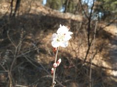 -北京西山国家森林公园