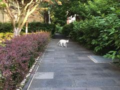 -金石唐风国际温泉会馆