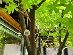 -VOYAGE COFFEE(杨梅竹店)