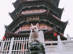-葛仙湖公园