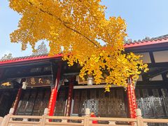 -上海柏悦酒店