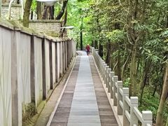 -上海佘山国家森林公园西佘山园