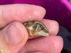 -宾朋海鲜美食餐厅·特色美食(兴海路店)