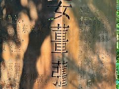 -广西壮族自治区药用植物园
