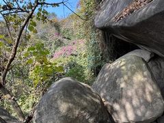 -云洞岩风景区