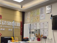 -美联众合爱康动物医院•复杂内科•肿瘤科•牙科•腔镜诊疗中心