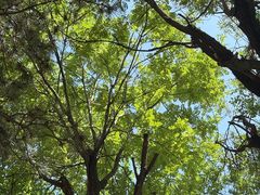 -汉长安城未央宫国家考古遗址公园