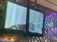-徽珍源(龙茗路店)