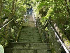 -汤旺河林海奇石景区