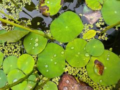 -宝岩生态观光园