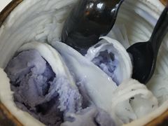 -志龙皇冠吃货椰子铺