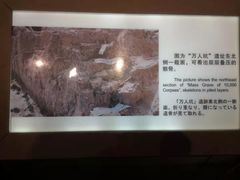 -侵华日军南京大屠杀遇难同胞纪念馆