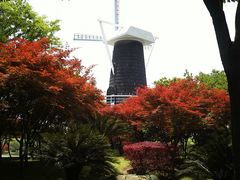 -上海鲜花港