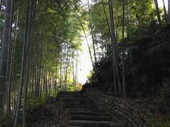 -塔川景区