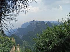 -王莽岭风景区